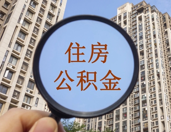 诸暨退休后查不到公积金明细了吗（退休后公积金查询不到原因）